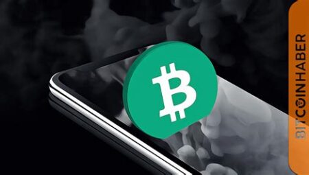 Bitcoin’in Yükselişi: 2024 ve Ötesi