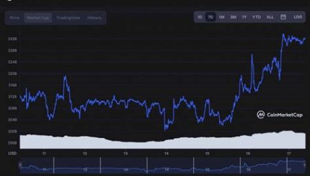 Ethereum’un Piyasa Değeri ve Etkileri